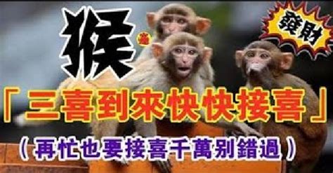 屬猴的名字喜忌|【屬猴姓名學】生肖猴姓名學：取名避開相剋字，打造幸運人生